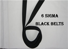精益六西格瑪成長階段的主要內容是什么？